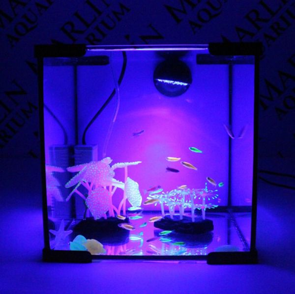 Комплект MEIJING, AQUARIUM Moonlight Аквариум под ключ 15л 25х25х25см с прозрачной крышкой
Комплект MEIJING, AQUARIUM Moonlight Аквариум под ключ 15л 25х25х25см с прозрачной крышкой
