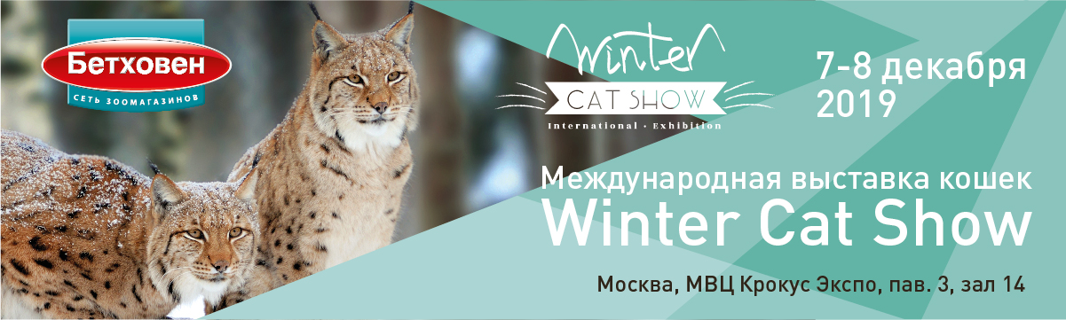 Ждем всех на Winter Cat Show 2019