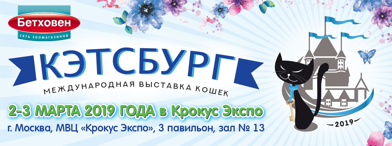 Приглашаем на международную выставку кошек "Кэтсбург"