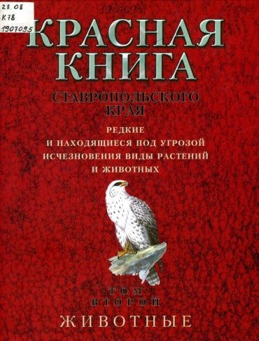 Правительство РФ утвердило новый перечень животных и птиц, включенных в Красную книгу