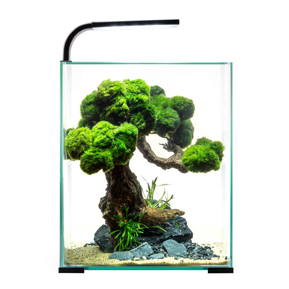 аквариум gold fish 10л Аквариум AQUAEL Shrimp Set Smart LED D/N 10/10л черный, 20х20х25см