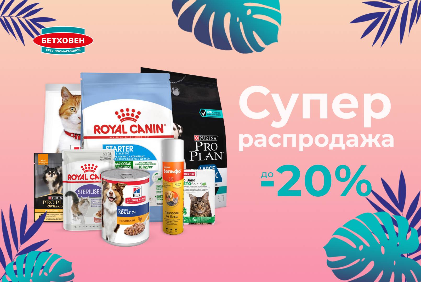 Супер распродажа -20% до 30 июня 2022г.