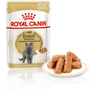 Изображение мини корма Royal Canin