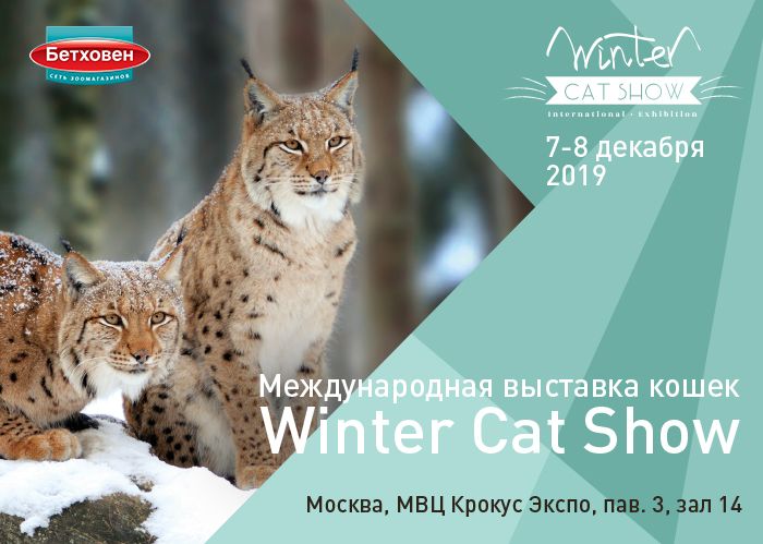 Ждем всех на Winter Cat Show 2019