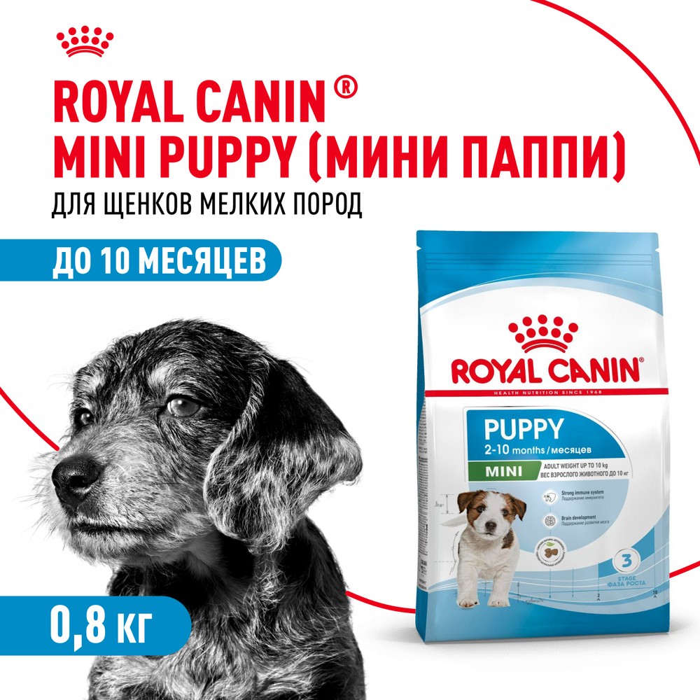 Корм для щенков ROYAL CANIN Mini Puppy для мелких пород с 2 до 10 месяцев сух. 800г