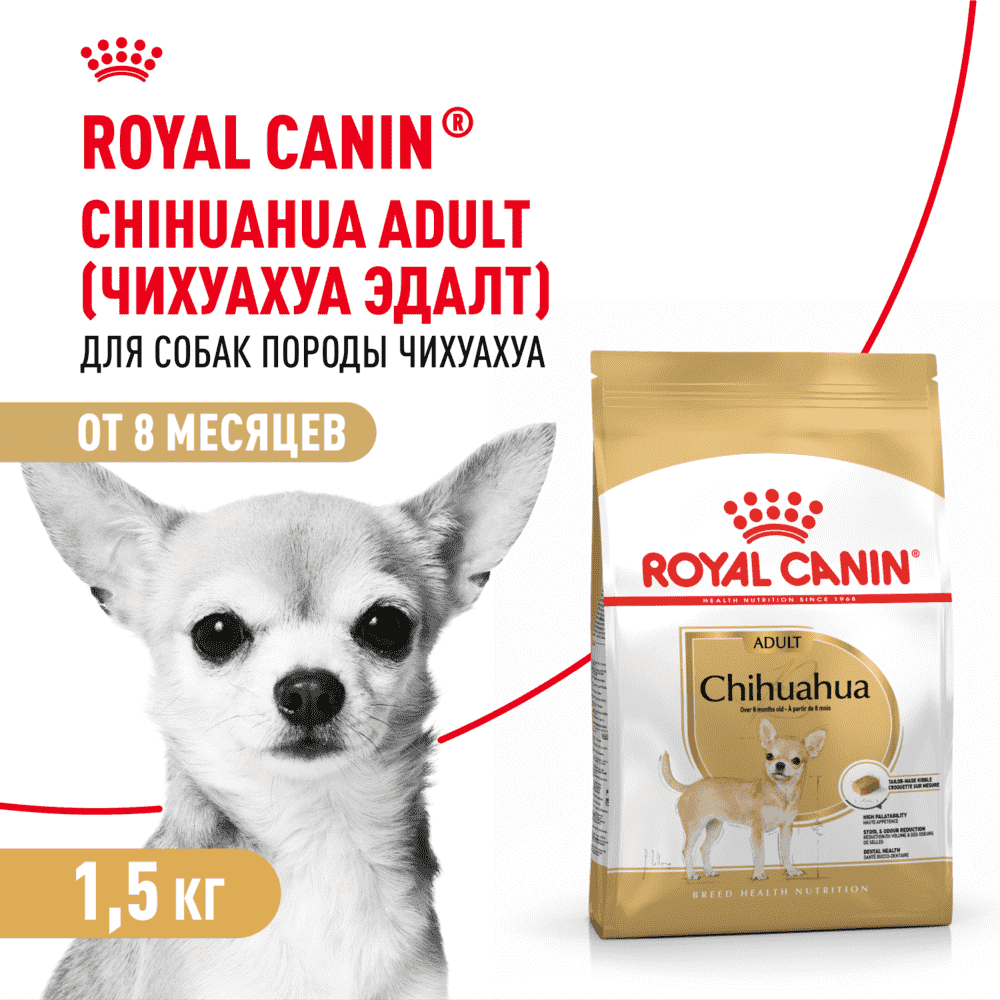 Корм для собак ROYAL CANIN Chihuahua Adult для породы чихуахуа от 8 месяцев сух. 1,5кг фотографии