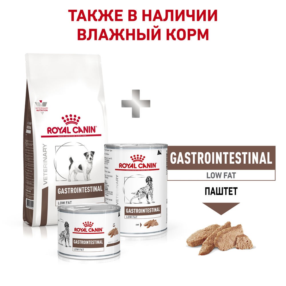 Royal canin sales low fat dog