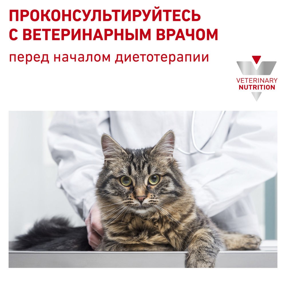 Royal canin vet sales urinary