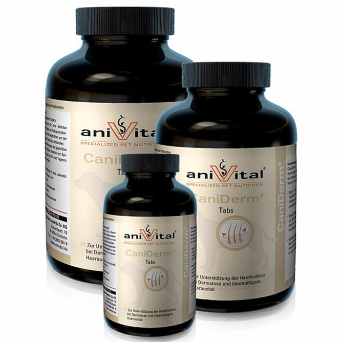 

Витаминный комплекс AniVital, CaniDerm для кожи и шерсти собак, 140 гр 60 таб.