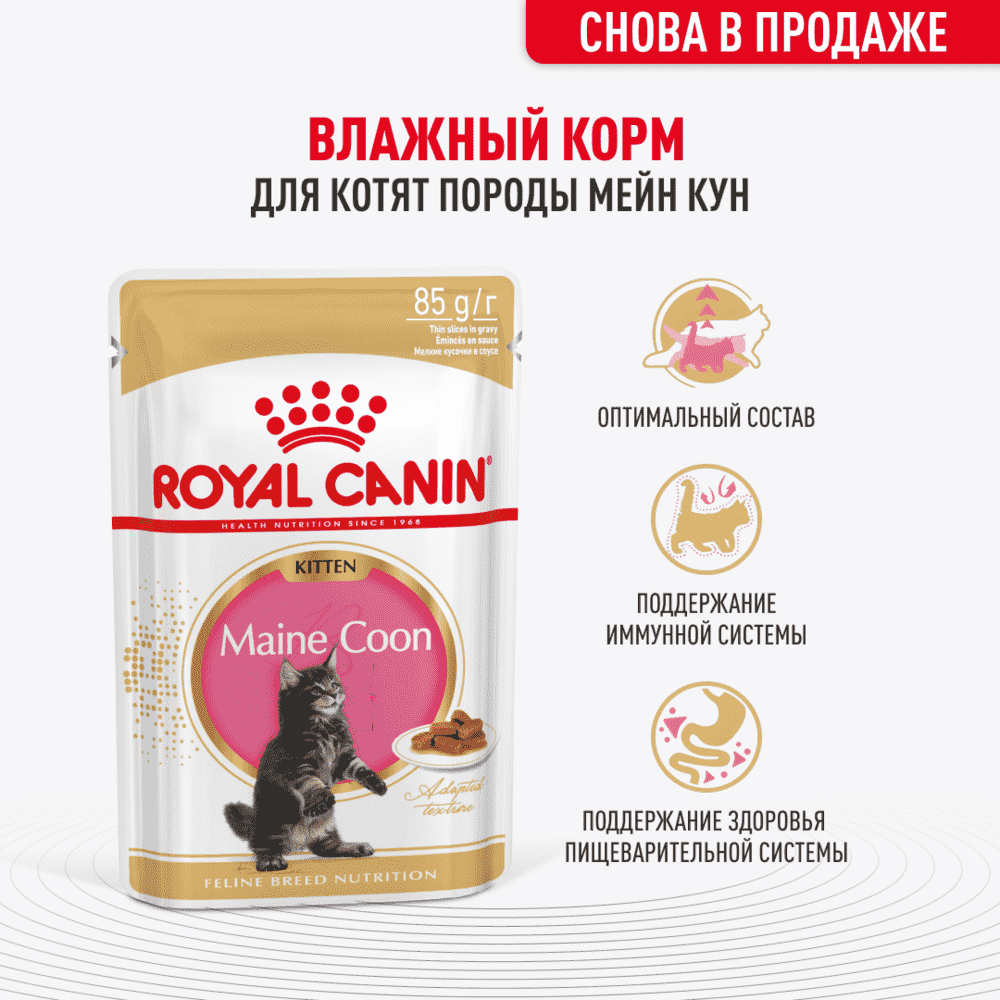 Корм для котят ROYAL CANIN Maine Coon для породы Мэйн Кун кусочки в соусе пауч 85г 98₽