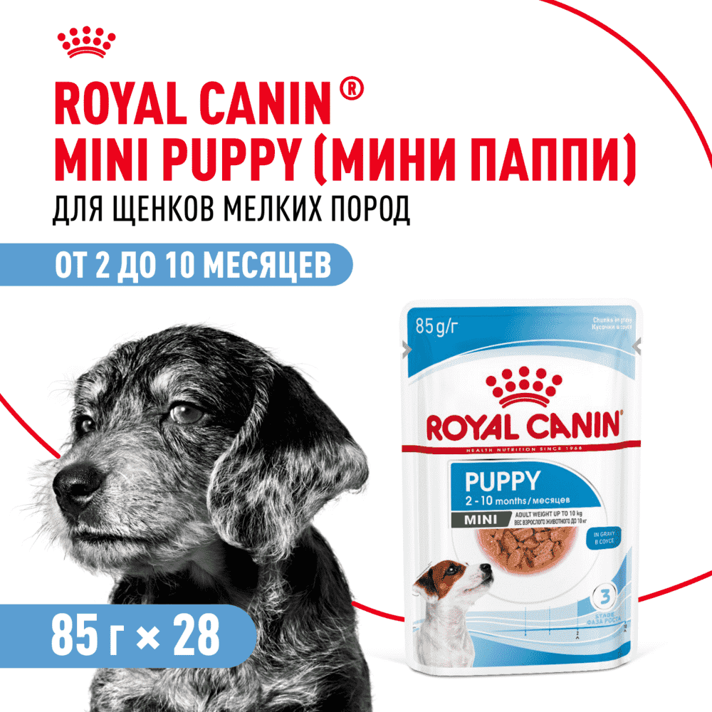 Корм для щенков ROYAL CANIN Mini для мелких пород до 10 месяцев, кусочки в соусе пауч 85г