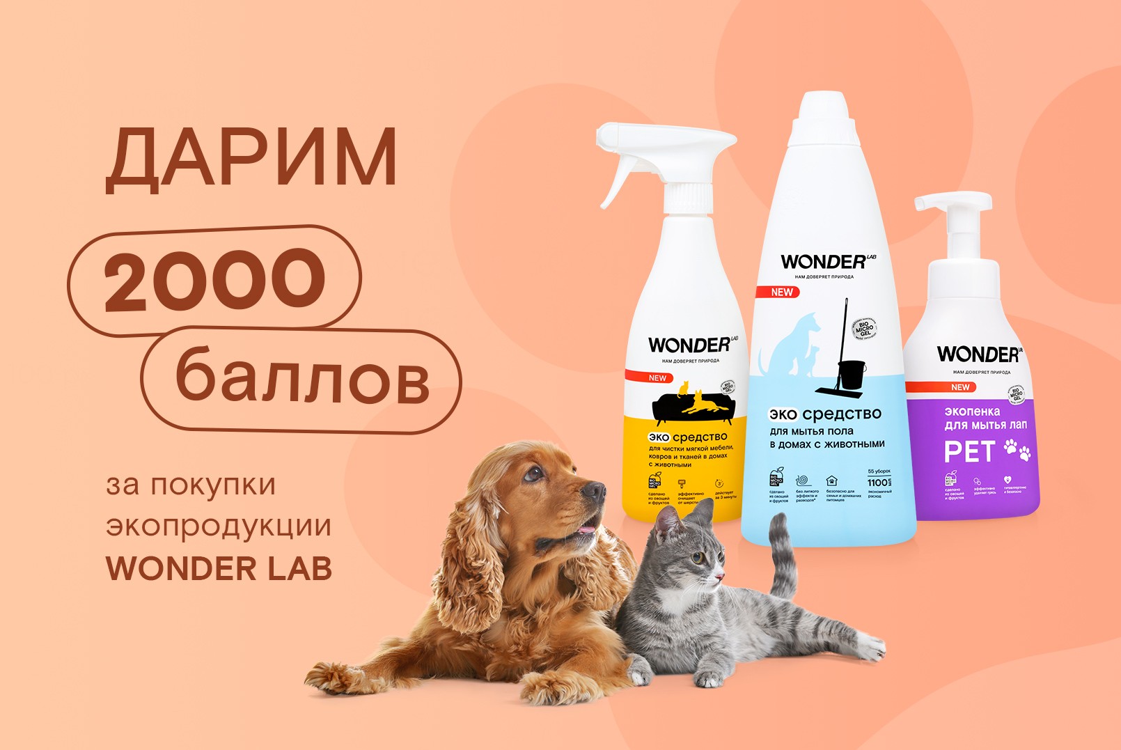 Дарим 2000 баллов за покупку экопродукции Wonder Lab