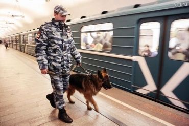 БОЛЕЕ 170 СОБАК СЛУЖАТ В УВД НА МОСКОВСКОМ МЕТРОПОЛИТЕНЕ