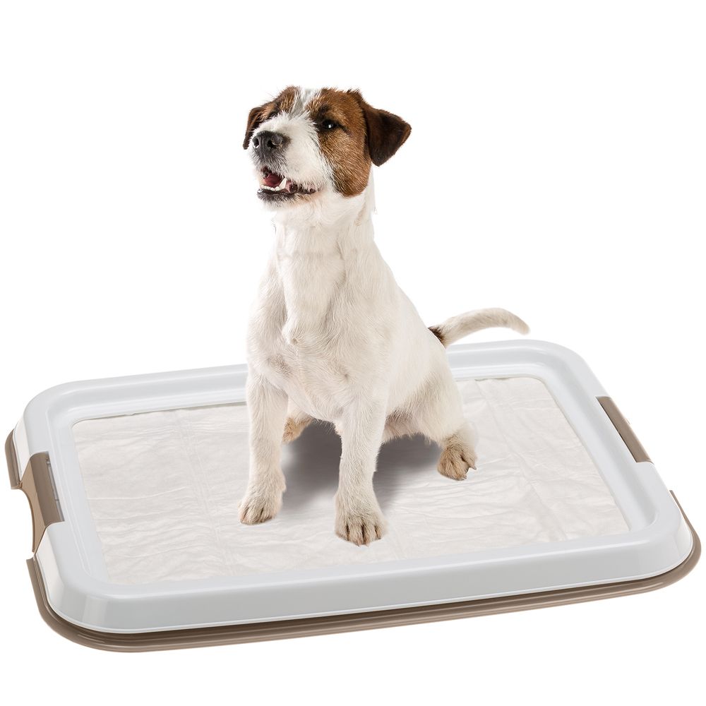 Удобно ли в качестве туалета для собаки использовать многоразовую пеленку? - пластиковыеокнавтольятти.рф