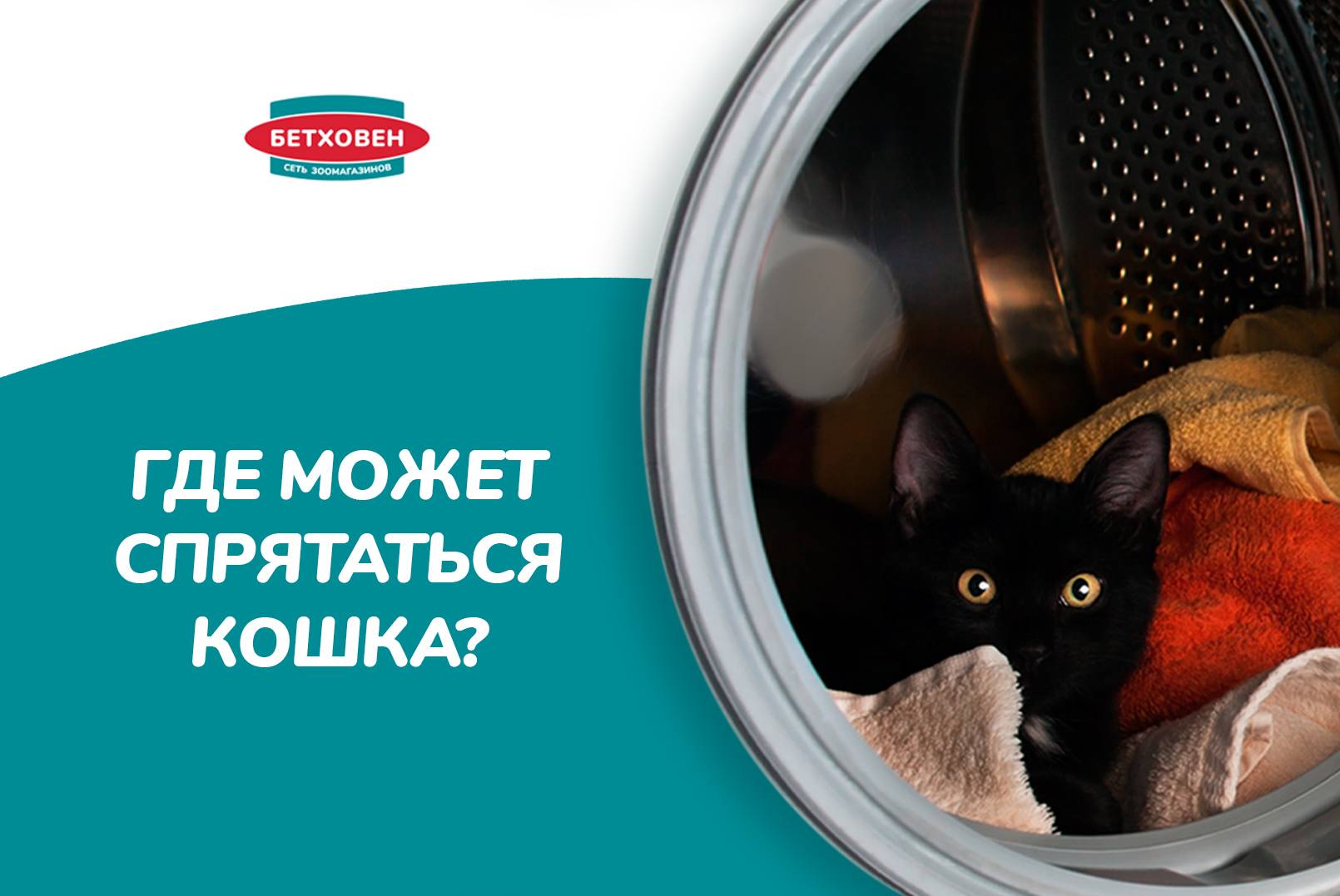 Где может спрятаться кошка?