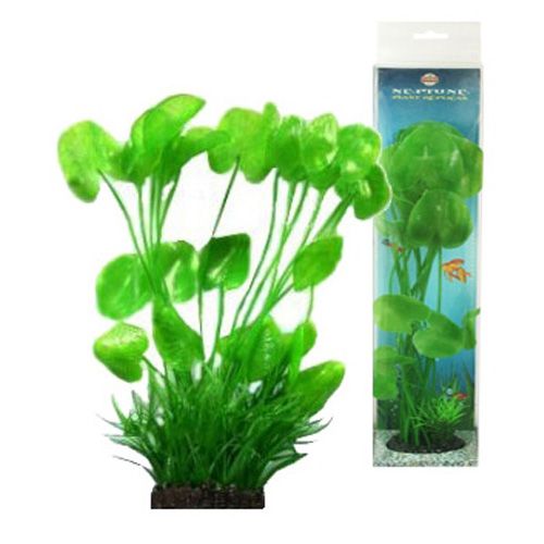 

Растение FAUNA international Композиция №23 20см, Композиция №23 20см
