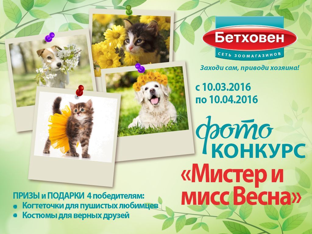 Фотоконкурс «Мистер и мисс Весна»!