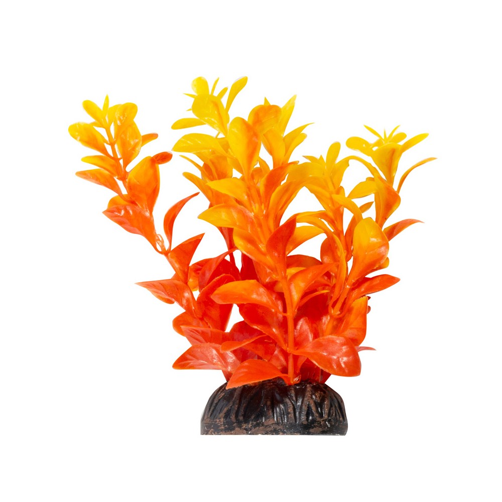 цена Растение Laguna Aqua Людвигия ярко-оранжевая, 100мм