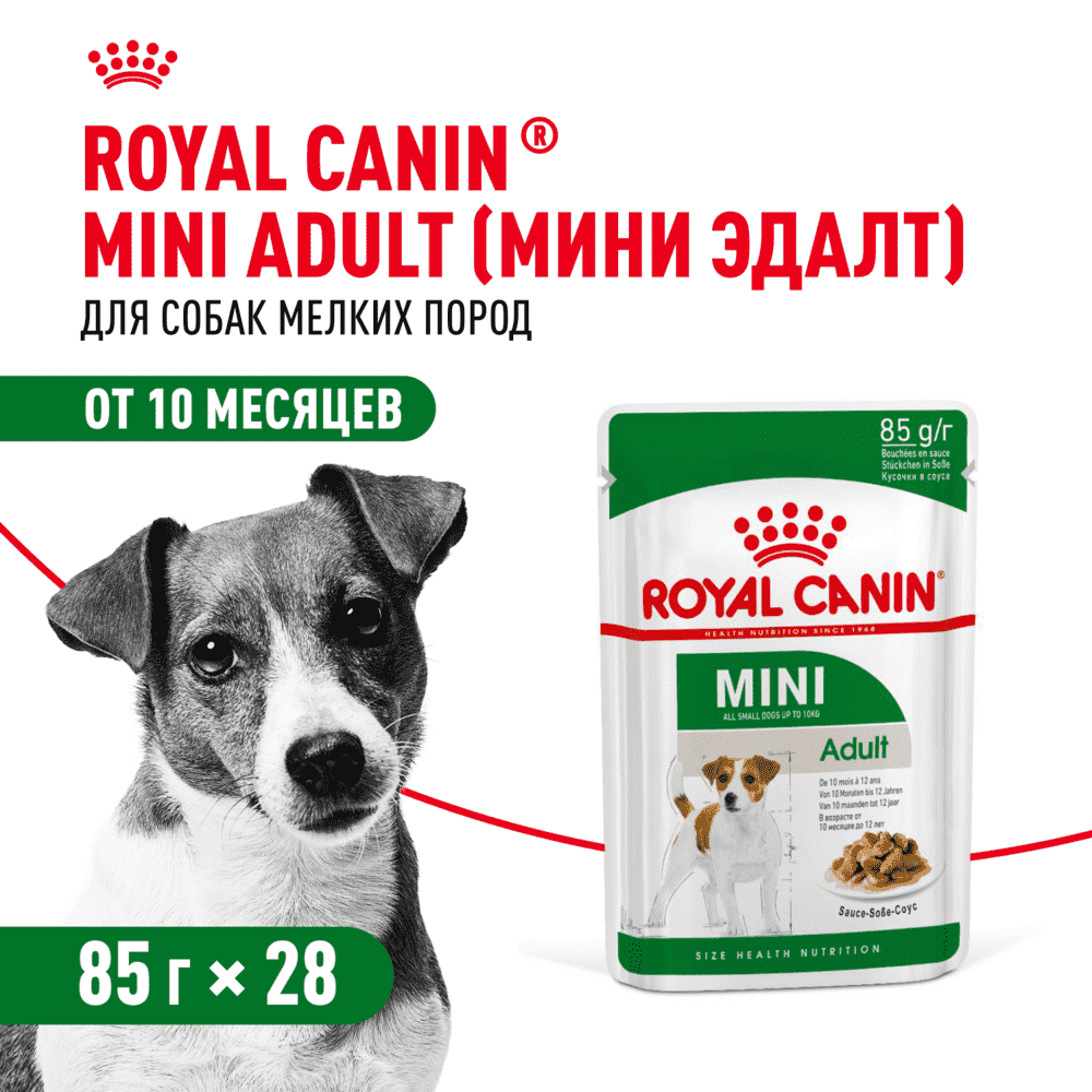 Корм для собак ROYAL CANIN Mini для мелких пород от 10 месяцев, кусочки в соусе пауч 85г