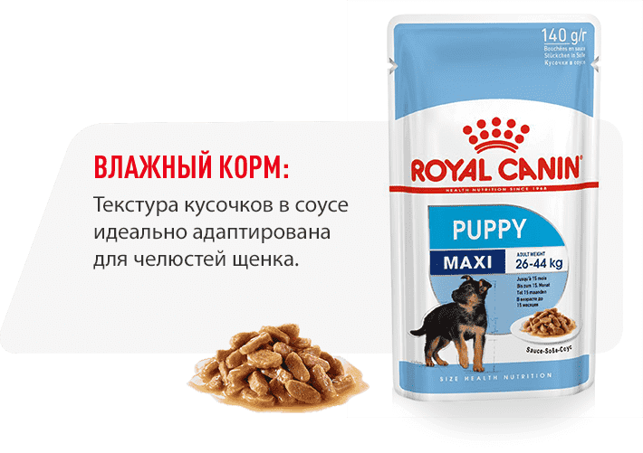 Royal canin щенков крупных. Royal Canin Maxi Puppy. Роял Канин макси для щенков. Корм Royal Canin Maxi Puppy 20кг. Роял Канин для собак крупных пород Паппи макси.