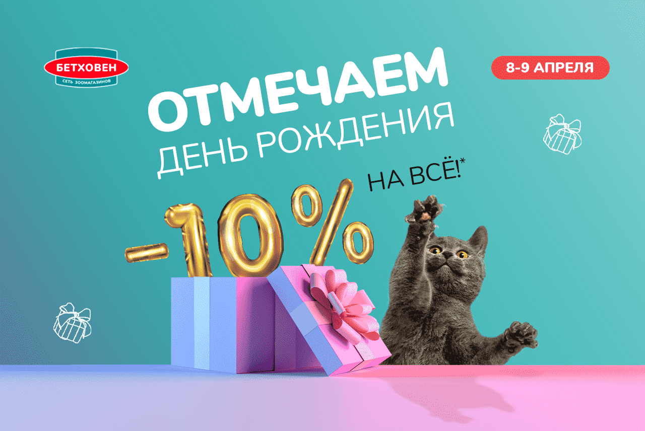 День рождения в магазинах!