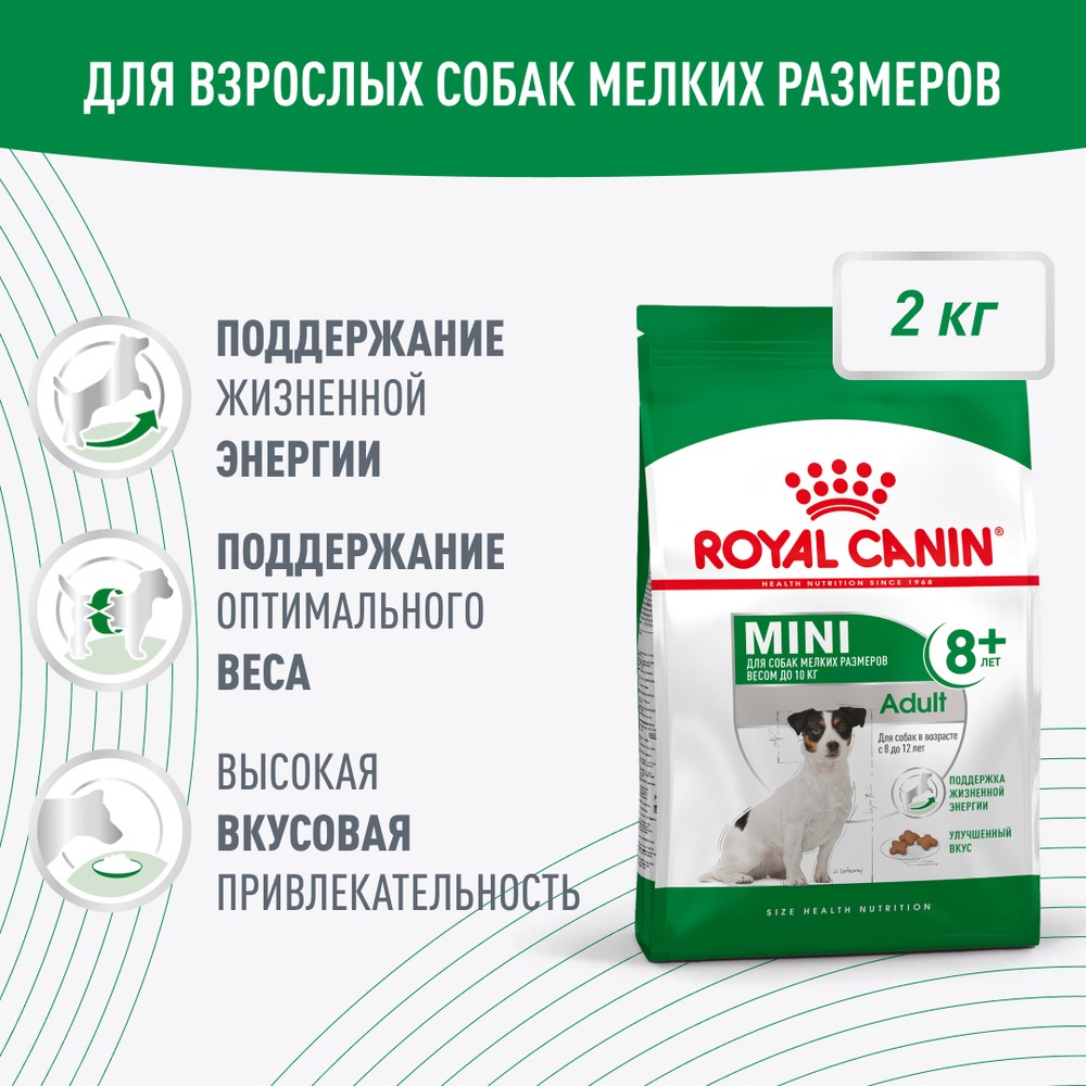 Корм для собак ROYAL CANIN Mini Adult 8+ для мелких пород (до 10кг) старше 8 лет сух. 2кг