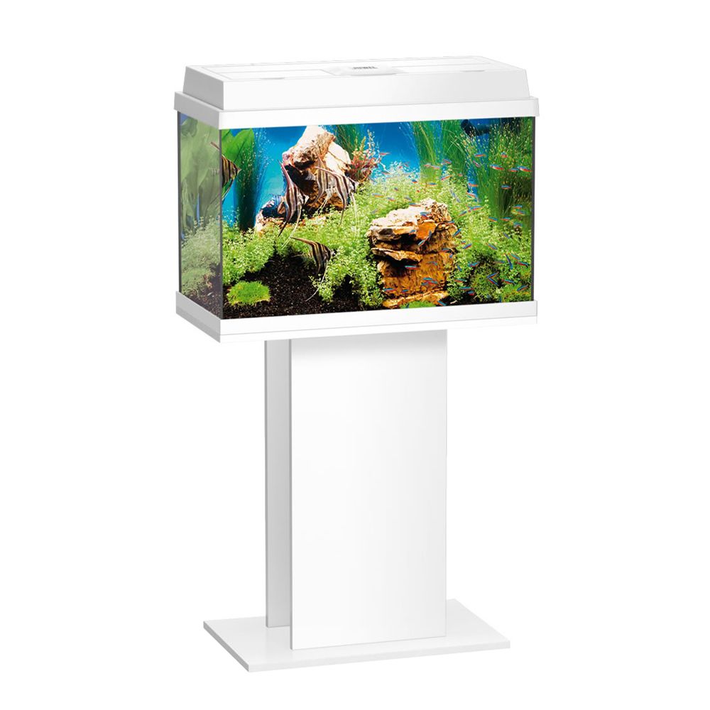 Подставка под аквариум JUWEL Primo 60/70, Rekord 600/700, Korall белая (White) 60x31x62см без двери цена и фото