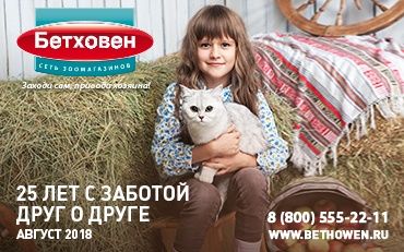 Новый каталог акционных товаров "Бетховен" на август! 