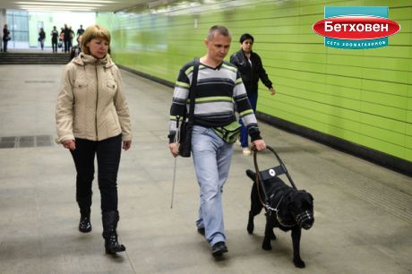 В МЕТРО РАЗРЕШАТ ПРОХОДИТЬ С СОБАКАМИ-ПОВОДЫРЯМИ