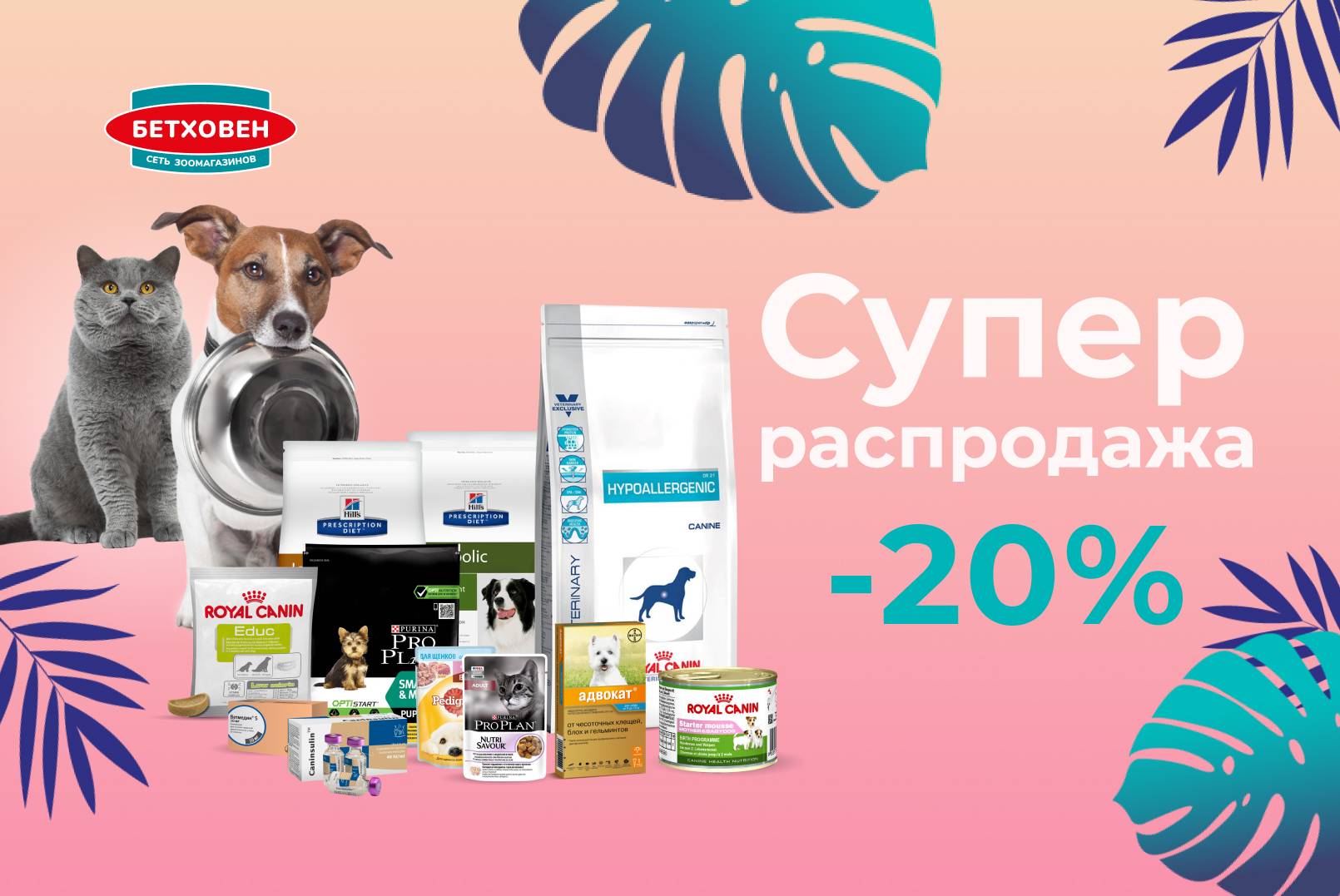 Супер распродажа -20%!