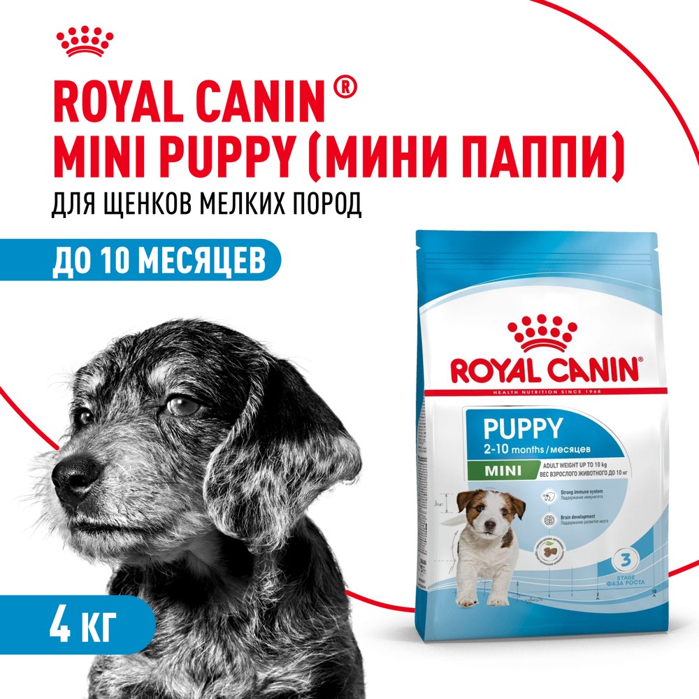 Корм для щенков ROYAL CANIN Mini Puppy для мелких пород с 2 до 10 месяцев сух. 4кг