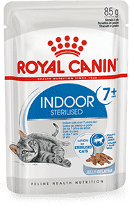 Изображение мини корма Royal Canin