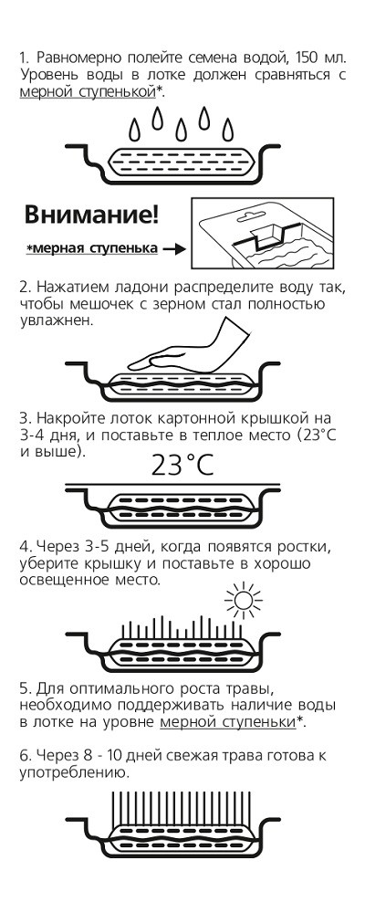 Родные травы - лекарства, которые растут прямо под ногами