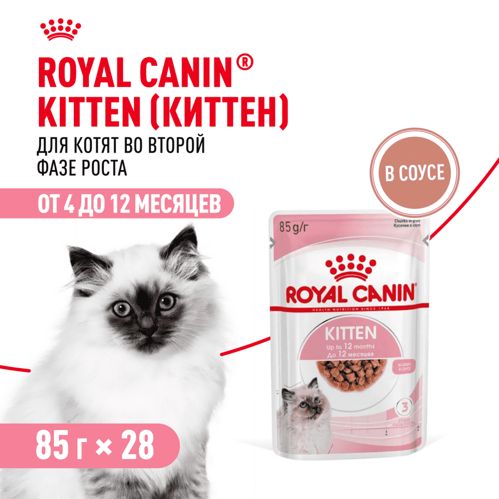 Корм для котят ROYAL CANIN в период второй фазы роста до 12 месяцев, мясо в соусе пауч 85г