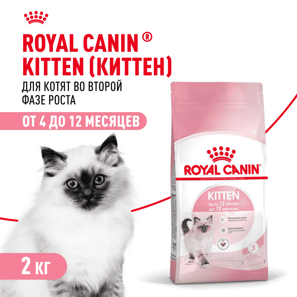 Корм для котят ROYAL CANIN сбалансированный в период второй фазы роста сух. 2кг