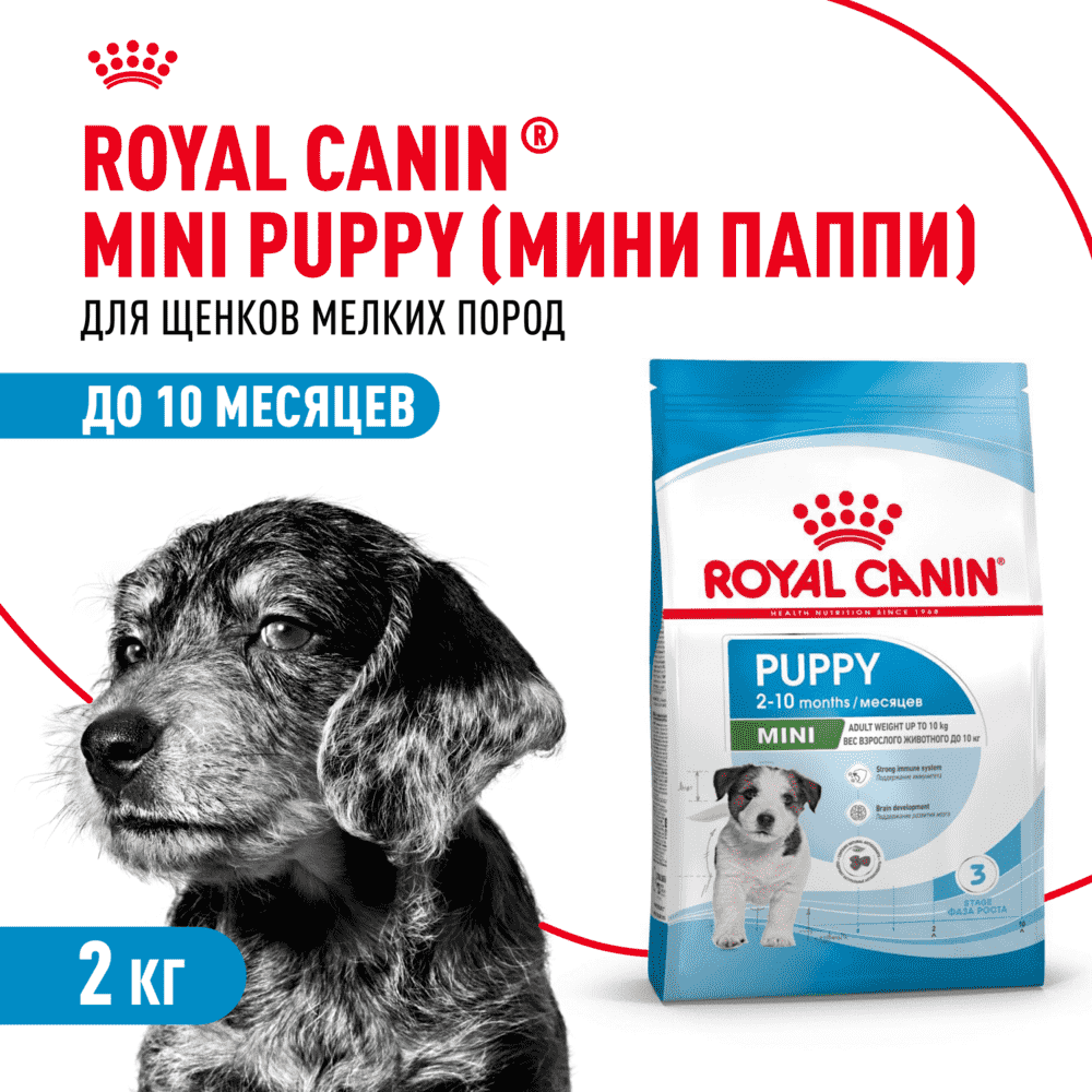 Корм для щенков ROYAL CANIN Mini Puppy для мелких пород с 2 до 10 месяцев сух. 2кг