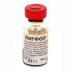 

Лекарственный препарат для кошек и собак ЛИГФАРМ Лигфол флакон 1мл, Лигфол флакон 1мл