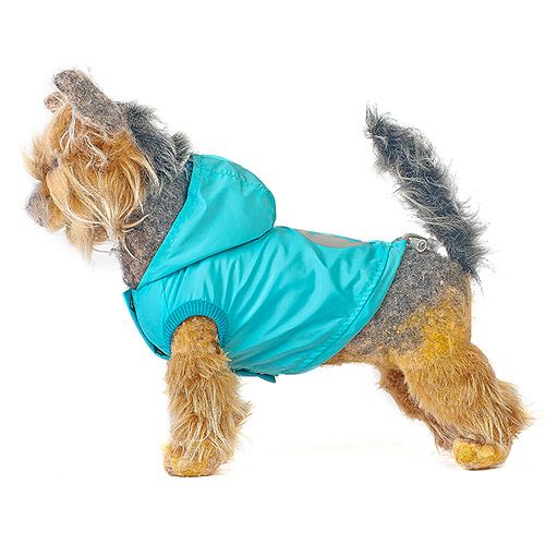 

Ветровка для собак HAPPY PUPPY, Саммер скай 4 32см