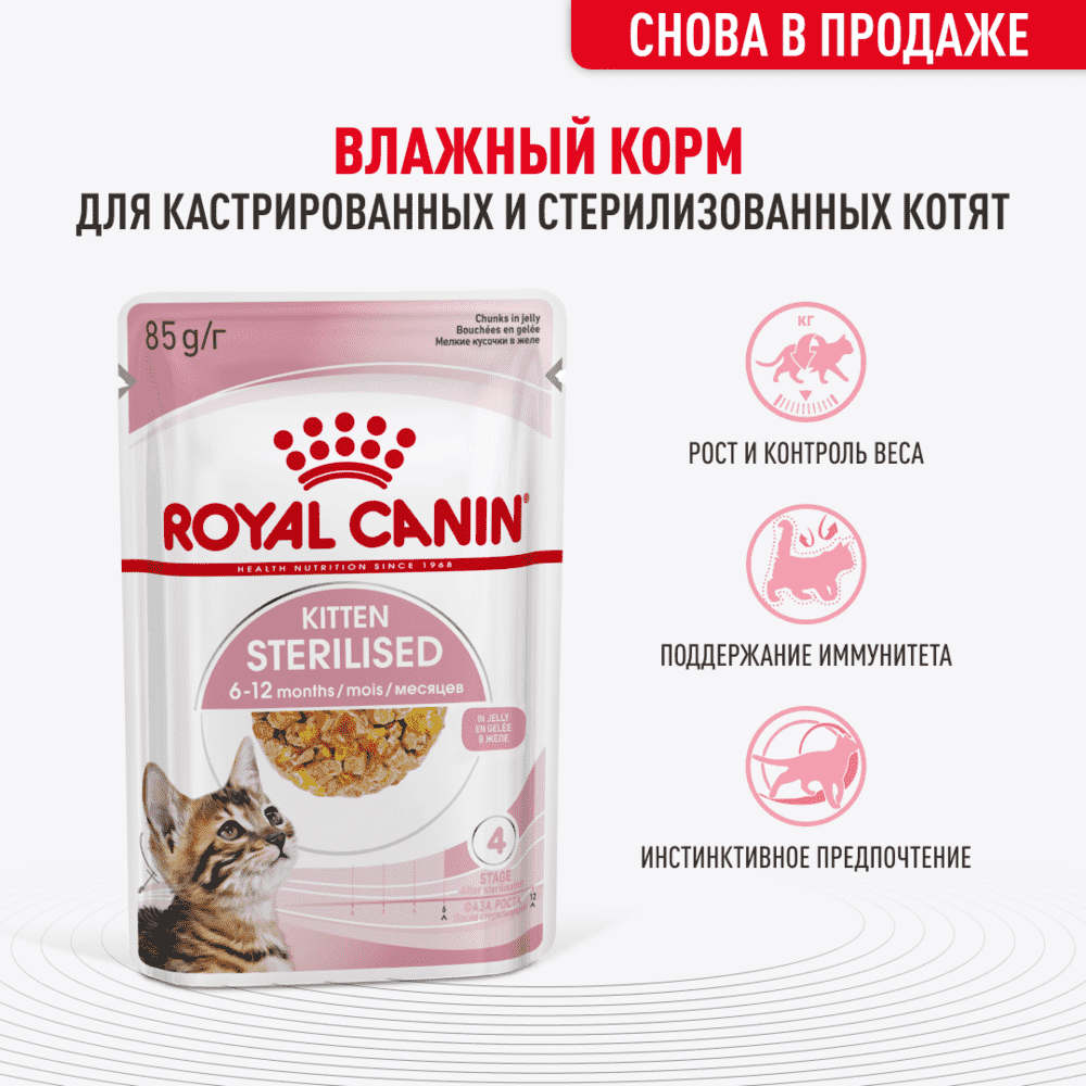 Корм для котят ROYAL CANIN Sterilised в желе пауч 85г фотографии