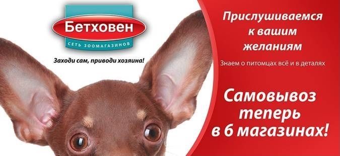 Услуга самовывоза