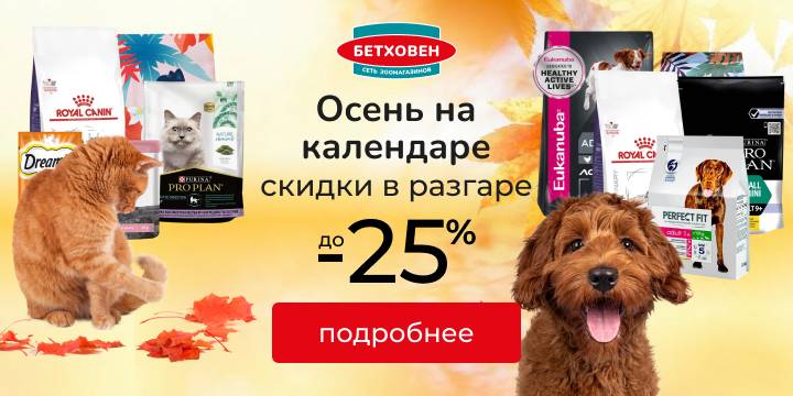 Осень на календаре: скидки до -25%