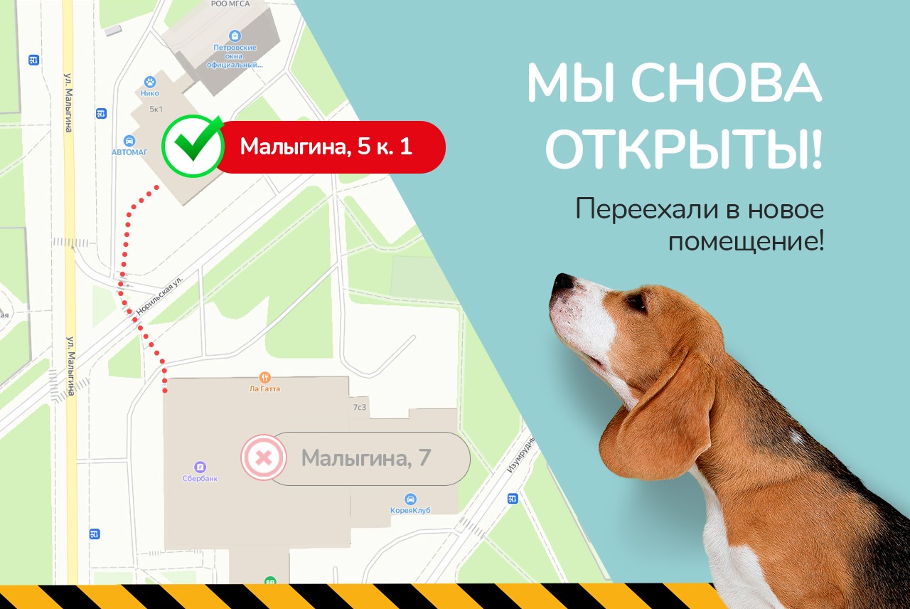 Мы снова открыты!