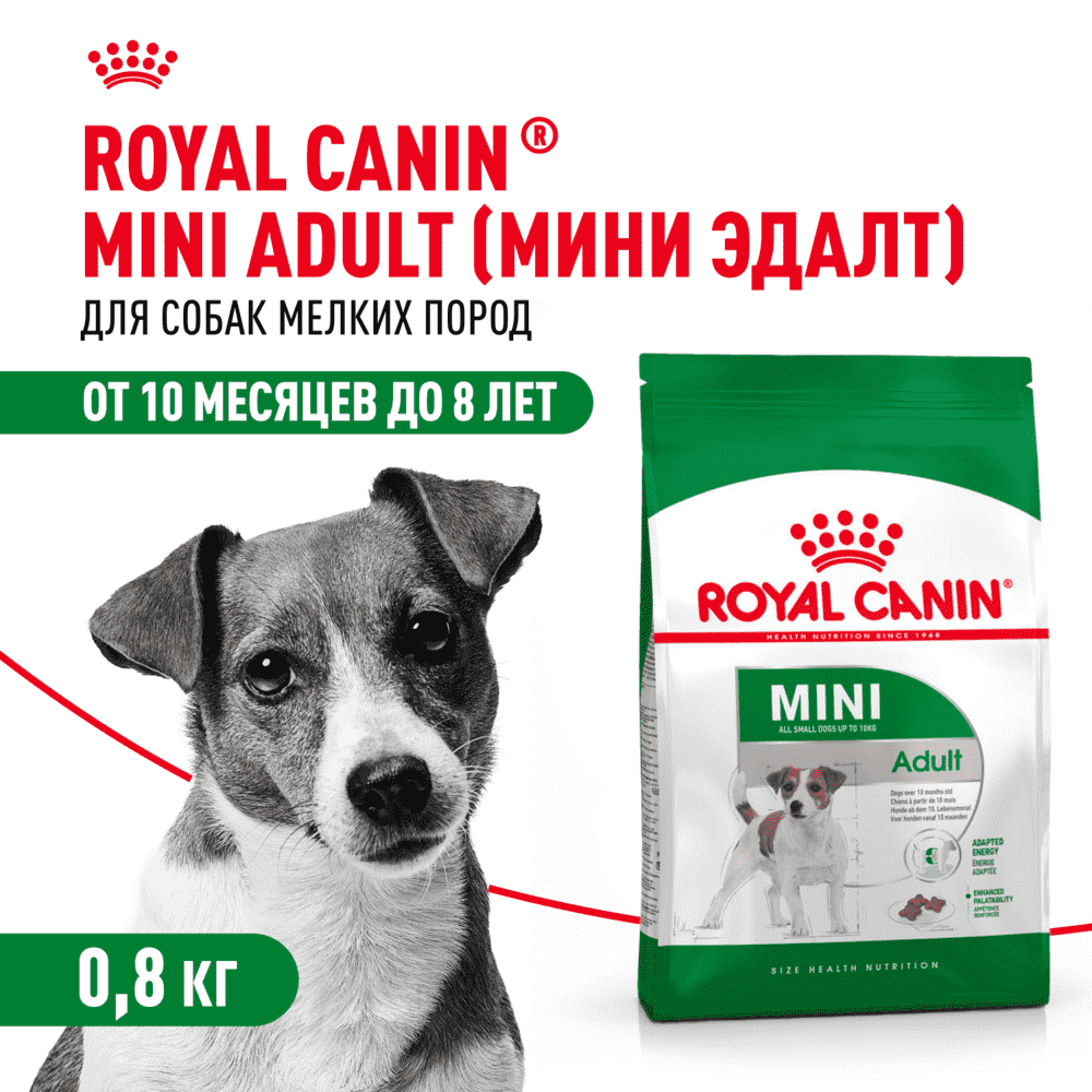 Корм для собак ROYAL CANIN Mini Adult для мелких пород от 10 месяцев сух. 800г