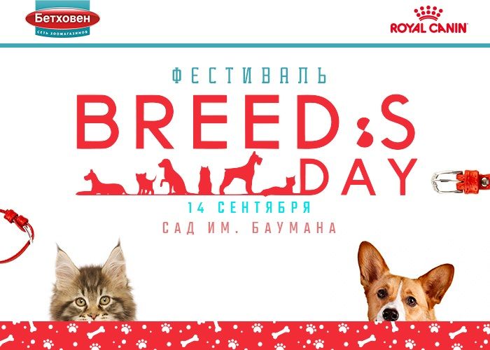 Ждем вас на BREED'S DAY!