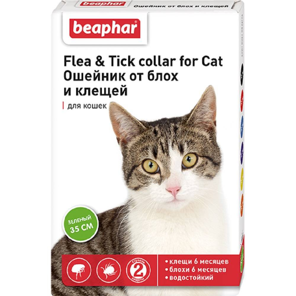 Ошейник для кошек Beaphar от блох зеленый 35см beaphar beaphar malthearts для кошек сердечки для вывода шерсти из желудка 150 шт
