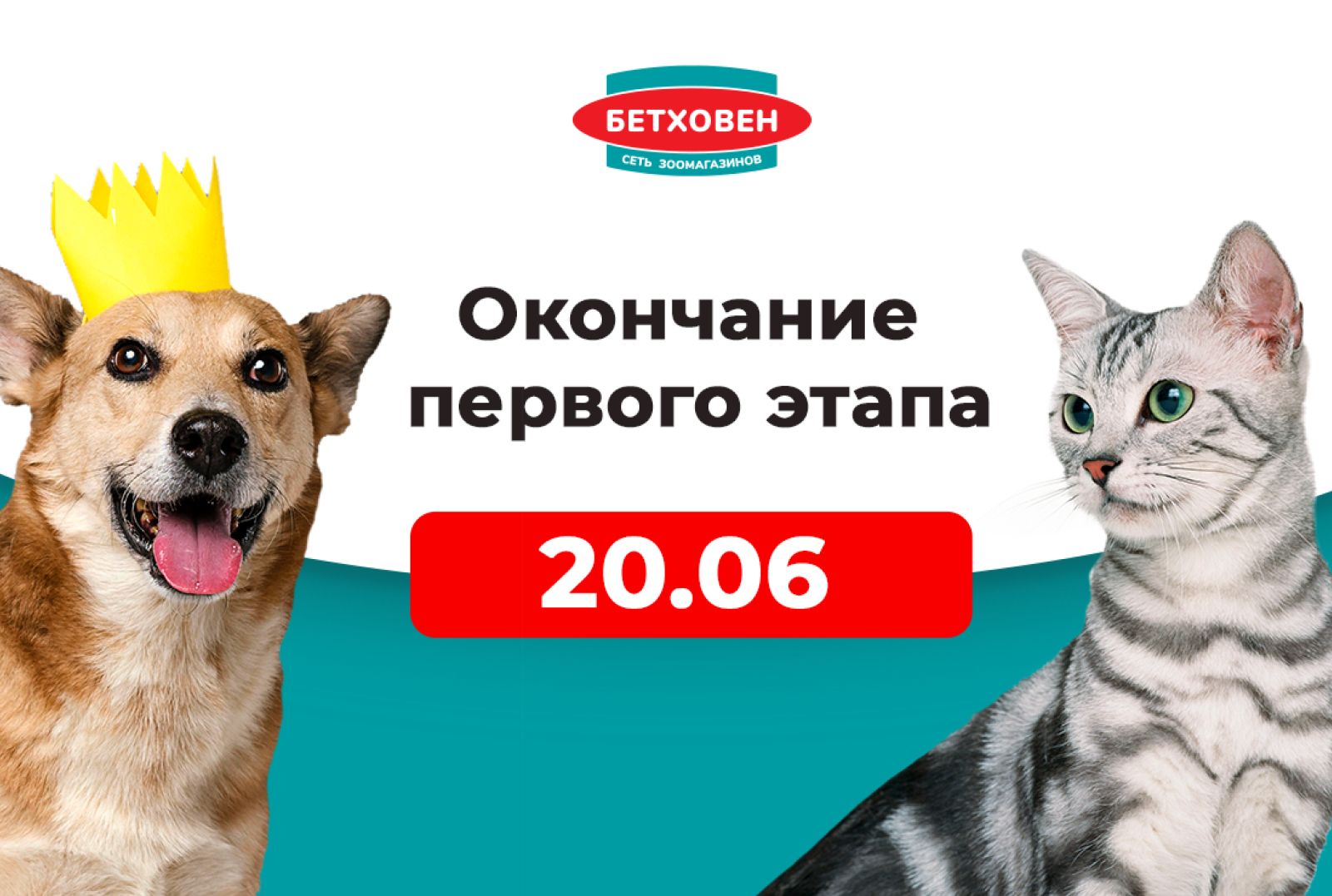 Закончился первый этап акции "100 000 бонусов от «Бетховен» в Кошельке"!