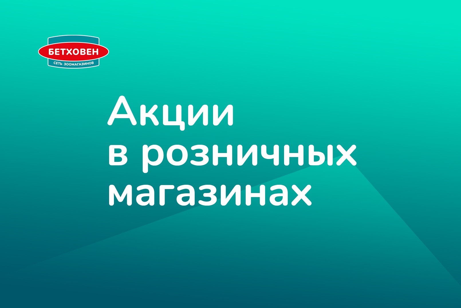 Акции в розничных магазинах