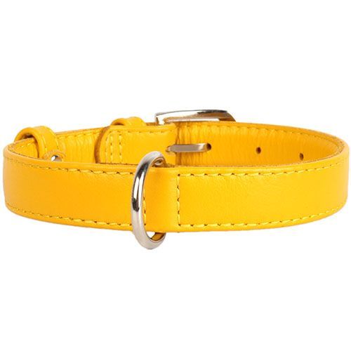 

Ошейник для собак COLLAR, Glamour без украшений 25мм 38-49см желтый