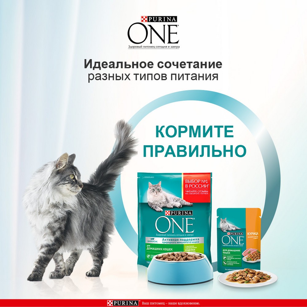 OIMG влажный корм для кошек, курица, без зерен, пакеты 22 фунта (24 упаковки) | AliExpress