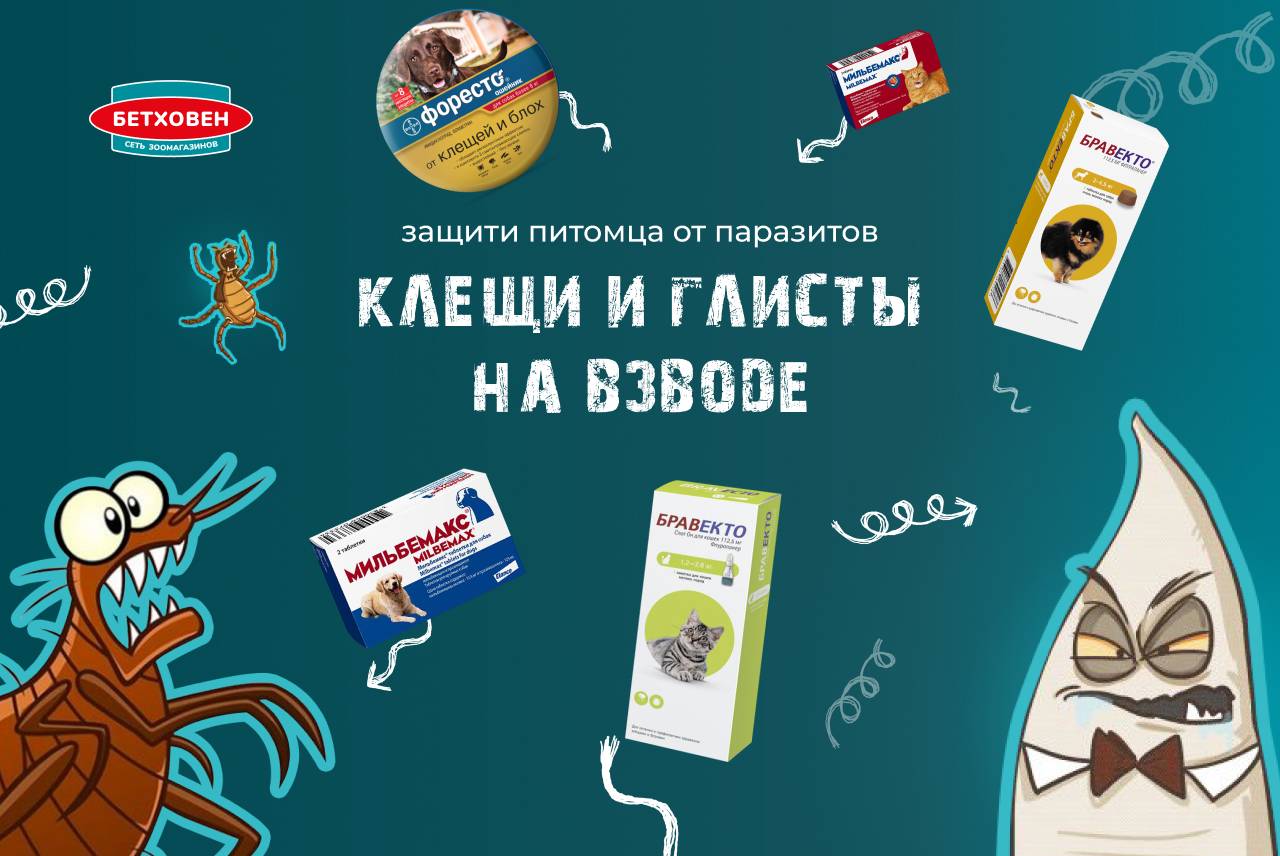 Клещи и глисты на взводе: скидки до - 60% на ветаптеку